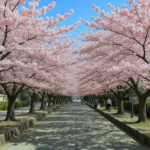 2025년 서울 여행 가이드 벚꽃부터 문화 축제까지 특성이미지